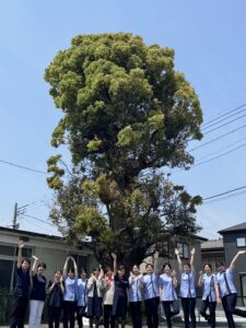 群馬県前橋市で赤ちゃん整体をお探しの方は当サロンへ！